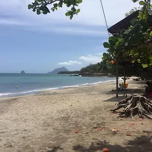 Le Studio Du Manguier , Sainte-Luce Martinique